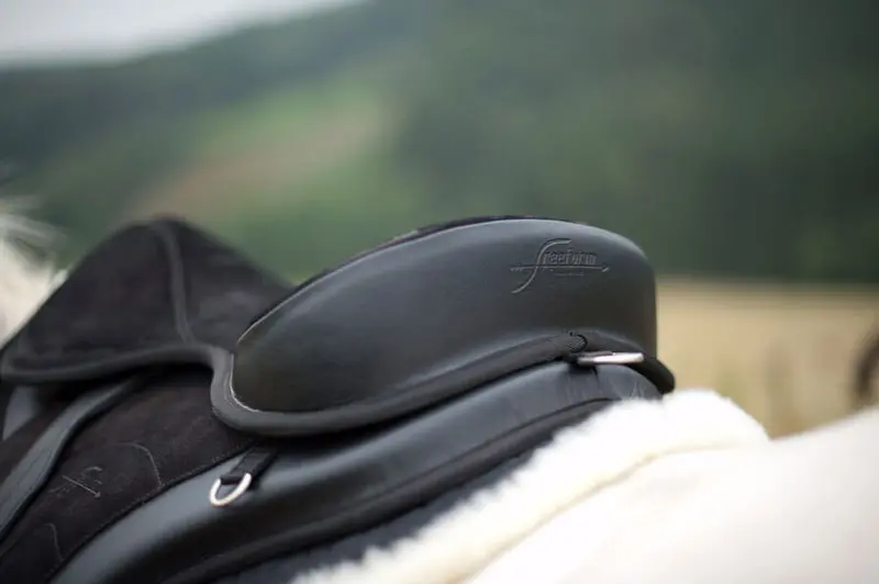 Version 4 negro - recorte de una silla de montar negra en un caballo blanco