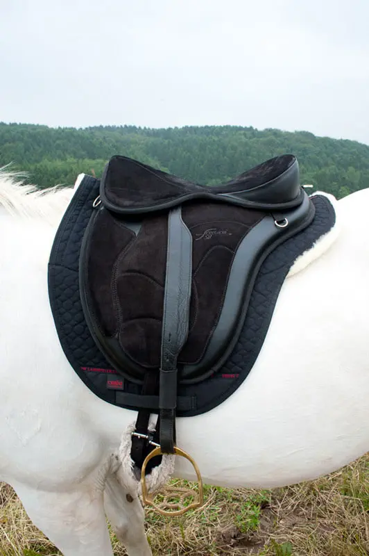 Version 4 negro total